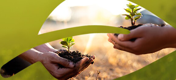 16692_sustainability_ Sustainability