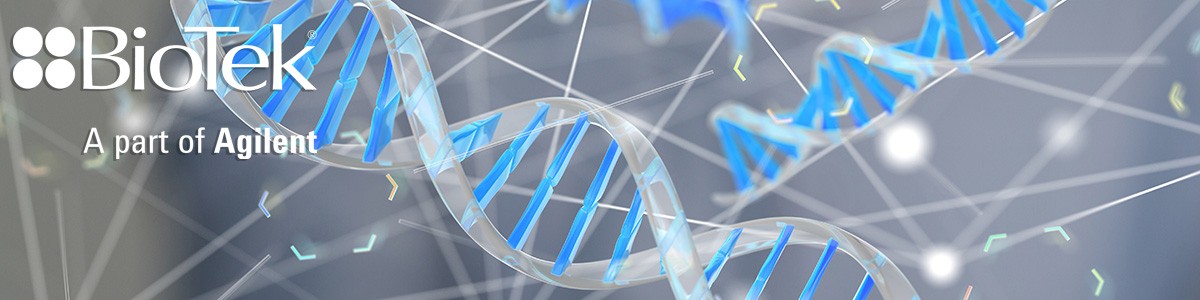 dna dna