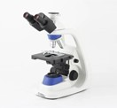 13297_Microscopy