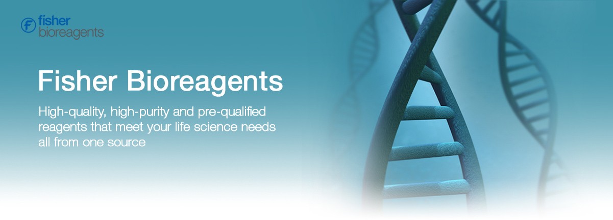 Bioreagents desktop banner