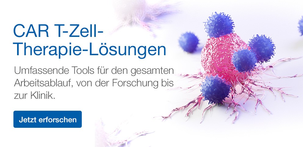CAR T-Cell Therapy Solutions