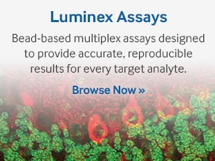 Luminex Assays