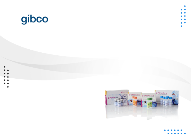 Produktbanner