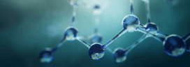 Molecular Biology Molecular Biology